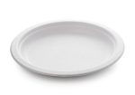 Paper Plates