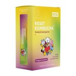 EVERYDAZE BT21 RESET KOMBUCHA- Pineapple  Passionfruit- 10 Packs