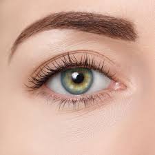 Donut Contacts D06	Charming Blue
