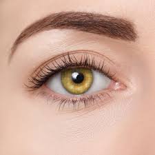 Donut Contacts D07	Pure Honey