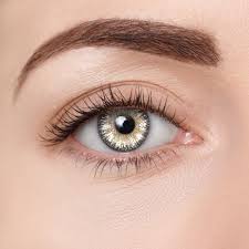 Donut Contacts D22	Stone Gray