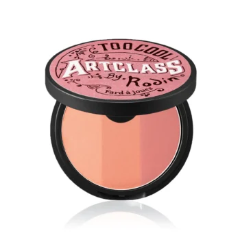 Too Cool for School Artclass by Rodin Blusher 11g-DE ROSEE