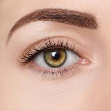 Donut Contacts D13 Sweet Olive