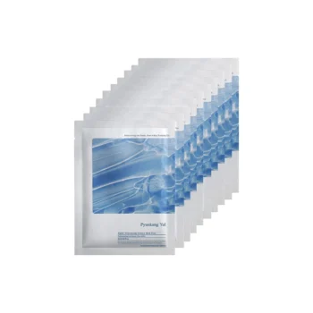 10ea Highly Moisturizing Essence Mask Pack
