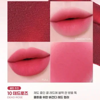 NUDE BLUR TINT 10 DEAD ROSE